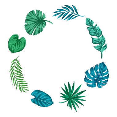 Şekillendirilmiş palmiye yapraklarıyla çerçevelenmiş. Tropikal yeşillik ve bitkilerin dekoratif görüntüsü. Egzotik doğa.