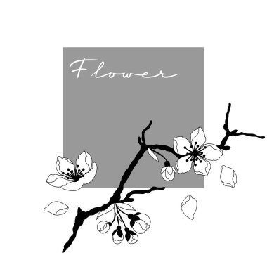 Bahar çiçekleriyle dolu bir arka plan. Elma, sakura veya kiraz çiçeği. Güzel dekoratif bitkiler. Doğal illüstrasyon.