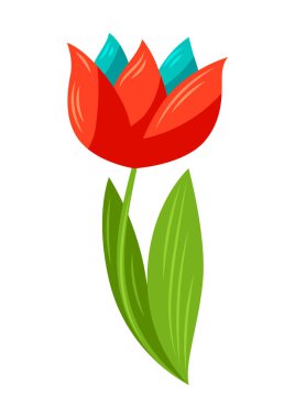 Güzel çiçeğin tasviri. Güzel dekoratif yapraklı doğal tomurcuk.