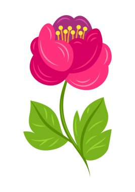 Güzel çiçeğin tasviri. Güzel dekoratif yapraklı doğal tomurcuk.