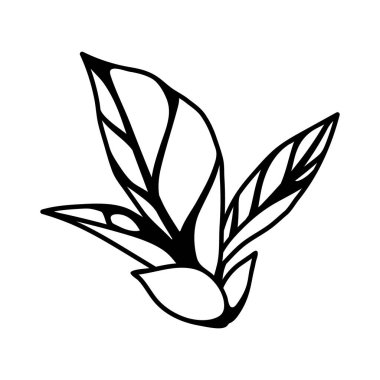 Yaprak tasviri. Bahar ya da yaz stilize yapraklar. Mevsimlik bitki görüntüsü.