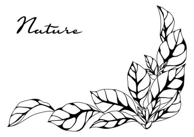 Yapraklı arka plan. Bahar ya da yaz stilize yapraklar. Mevsimsel illüstrasyon.