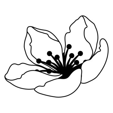 Bahar çiçeği tomurcuğunun resmi. Elma, sakura veya kiraz çiçeği. Güzel dekoratif çiçek açan bitki.