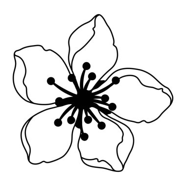 Bahar çiçeği tomurcuğunun resmi. Elma, sakura veya kiraz çiçeği. Güzel dekoratif çiçek açan bitki.