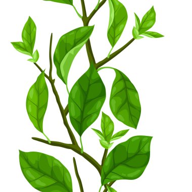 Dallı ve yapraklı desen. Bahar ya da yaz stilize yapraklar. Mevsimsel illüstrasyon.