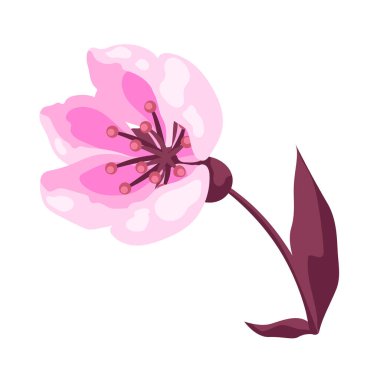 Bahar çiçeği tomurcuğunun resmi. Elma, sakura veya kiraz çiçeği. Güzel dekoratif çiçek açan bitki.