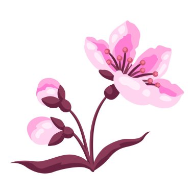 Bahar çiçeği tomurcuklarının resmi. Elma, sakura veya kiraz çiçeği. Güzel dekoratif çiçek açan bitki.