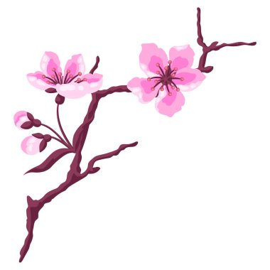 Çiçekli dalın tasviri. Elma, sakura veya kiraz çiçeği. Güzel dekoratif çiçek açan bitki.