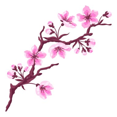 Çiçekli dalın tasviri. Elma, sakura veya kiraz çiçeği. Güzel dekoratif çiçek açan bitki.