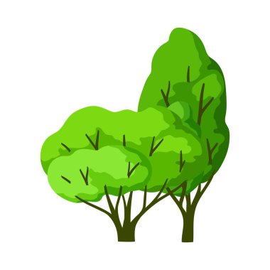 Yapraklı illüstrasyon ağaçları. Doğal yaz ya da bahar imajı. Tasarım için stilize bitkiler.