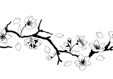 Bahar çiçekleriyle desen. Elma, sakura veya kiraz çiçeği. Güzel dekoratif bitkiler. Doğal illüstrasyon.