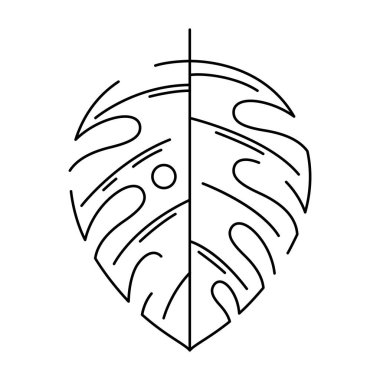 Canavar palmiye yaprağı tasviri. Tropikal yeşillik ve bitkinin dekoratif görüntüsü. Egzotik doğa.