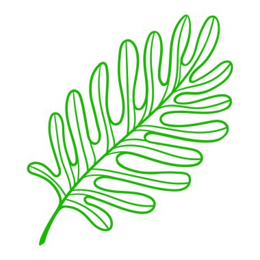 Doğrusal palmiye yaprağı. Tropikal yeşillik ve bitkinin dekoratif görüntüsü. Egzotik doğa.