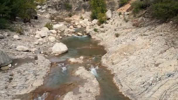 Lecho Río Empobrecido Que Fluye Través Del Bosque Una Zona — Vídeos de Stock