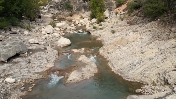 Εξαρτημένη Κοίτη Ποταμού Που Ρέει Μέσα Από Δάσος Μια Ορεινή — Αρχείο Βίντεο