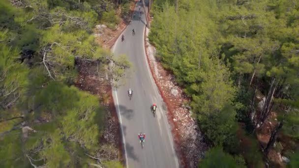 Légi Kilátás Enduro Motorkerékpárok Vezetés Vidéki Úton Keresztül Zöld Erdő Stock Videó