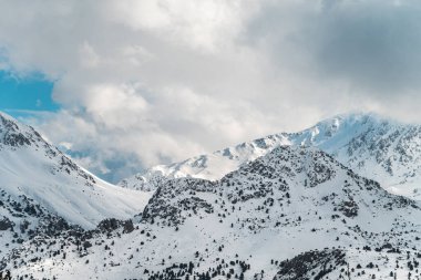 Forested snowy mountain landscape in the foothills on a sunny day
