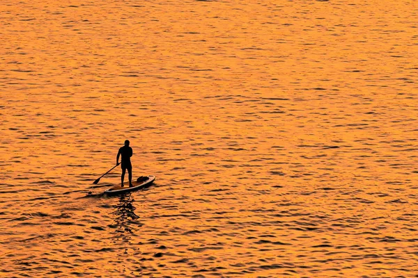 Pessoas Aventurosas Stand Paddle Board Está Remando Durante Nascer Sol — Fotografia de Stock
