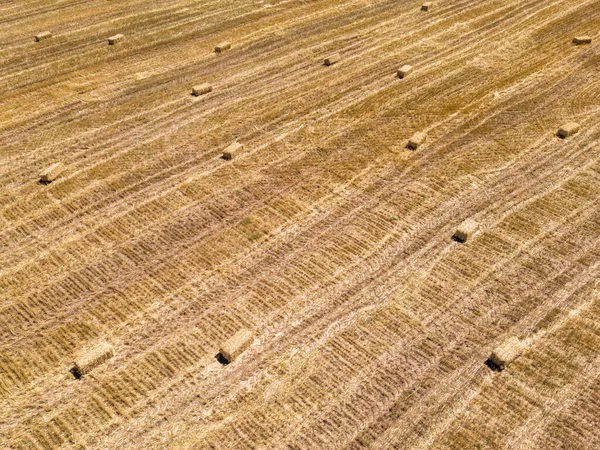 Skördade Fält Med Halmbalar Jordbruksbakgrund Med Kopieringsutrymme Sommar Och Höstskördekoncept — Stockfoto