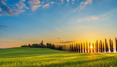 Path to hill house through cypress trees and sunrise view of stunning rural landscape of Tuscany, Italy clipart