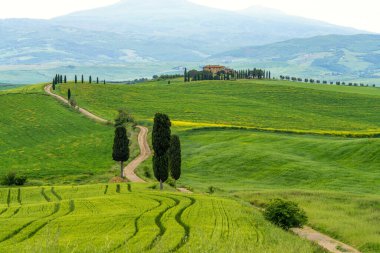 İtalya, San Quirico d 'Orcia' da gündoğumunda Val d 'Orcia vadisinin sisli sabah güneşli tepeleri arasında selvi ağaçlarıyla çevrili bir ev.