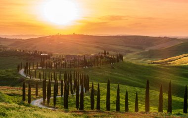 İtalya, Toskana 'nın büyüleyici kırsal manzarasının gündoğumu manzarası ve selvi ağaçlarının arasından tepedeki eve giden yol