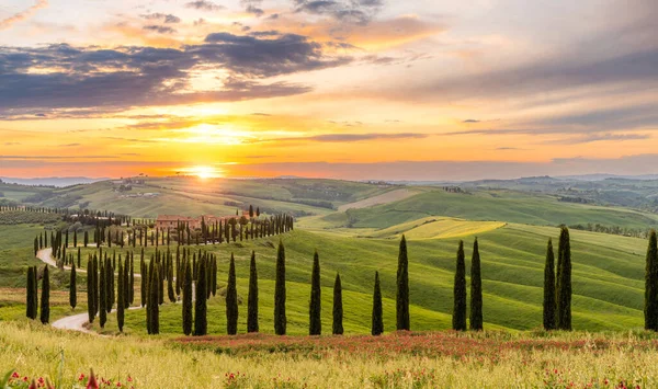 stock image Path to hill house through cypress trees and sunrise view of stunning rural landscape of Tuscany, Italy