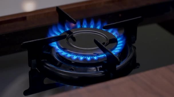 Κοντινό Πλάνο Από Μπλε Φλόγα Της Σόμπας Φυσικού Αερίου — Αρχείο Βίντεο
