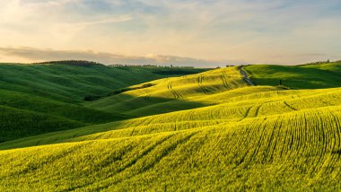 Toskana 'nın tepeleri. İlkbaharda Val d 'Orcia manzarası. Selvi, tepeler ve yeşil çayırlar