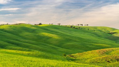 Toskana 'nın tepeleri. İlkbaharda Val d 'Orcia manzarası. Selvi, tepeler ve yeşil çayırlar