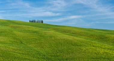 Toskana 'nın tepeleri. İlkbaharda Val d 'Orcia manzarası. Selvi, tepeler ve yeşil çayırlar