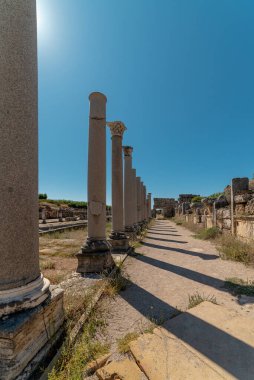 Antalya 'nın antik Perge kenti. Eski Pamphylia şehrinin tarihi kalıntıları.