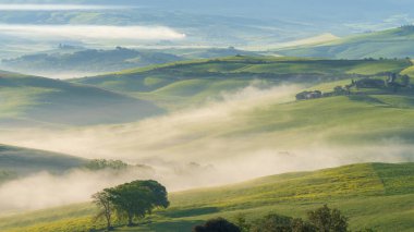 İtalya, San Quirico d 'Orcia' da gündoğumunda Val d 'Orcia vadisinin sisli sabah güneşli tepeleri arasında selvi ağaçlarıyla çevrili bir ev.