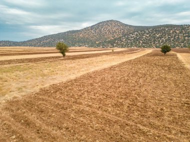Sonbaharda hasattan sonra yeni sürülmüş tarlaların havadan görünüşü