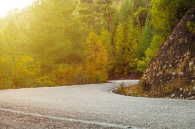 Asfalt yolu sonbahar ormanı boyunca gün doğumunda