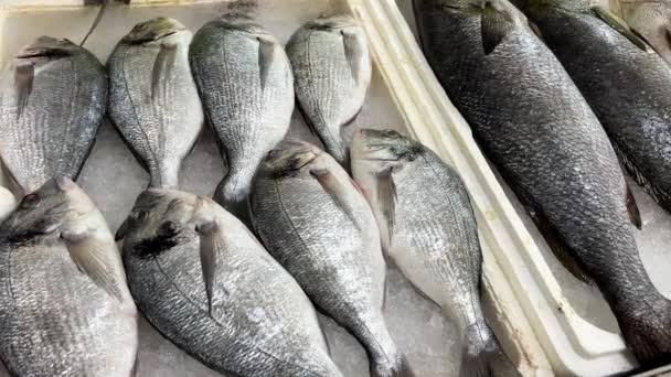 Großaufnahme Von Rohem Fisch Eis Auf Der Theke Eines Fischmarktes — Stockvideo