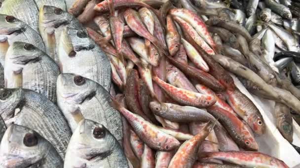 Detailní Záběr Čerstvých Syrových Ryb Ledu Pultu Rybím Trhu Royalty Free Stock Záběr