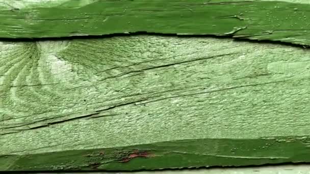 Dekoratív Faház Fal Festett Zöld Egy Napsütéses Napon Jogdíjmentes Stock Felvétel