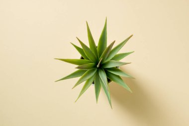 Yapay kaktüs, bitki, plastik ya da sarı arka planda sahte ağaç.