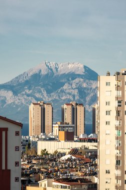 Güneşli bir günde şehir binalarının arasından görünen karlı dağ zirvesi