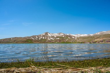 Baharda yemyeşil Sobucimen yaylası ve arkasında erimiş karla dağlar..