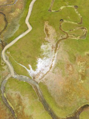 Antalya Sobucimen platosundaki vahşi hayvan. Yemyeşil alanlarda sallanan karmaşık su yollarının havadan görünüşü