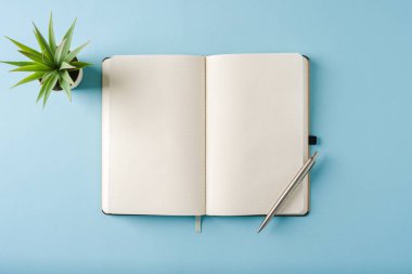 Mavi arkaplanda dizüstü bilgisayar ve tükenmez kalem görünümü