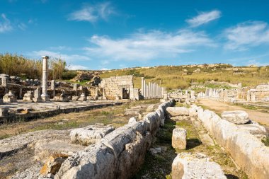 Antalya, Antalya 'daki Perge Antik Kentinde kollu caddenin kalıntıları