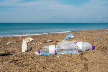 Plastik şişeler ve bardaklar kıyıya yakın kumsala çöp atıyordu.