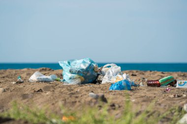 Plastik torbalar ve şişeler deniz kenarındaki kumlu bir plaja atıldı.