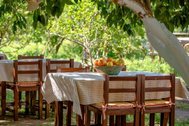 Açık bir bahçe masasında içi taze portakallarla dolu bir sepet.