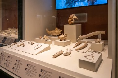 Ankara, Türkiye - 10 Mayıs 2025: Ankara Anadolu Medeniyetler Müzesi. Türkçe adı Anadolu Medeniyetleri Muzesi