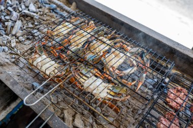 Çiğ mavi yengeçler mangalda mangal yapıyor.