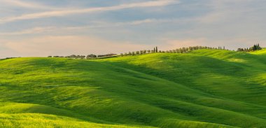 Kayan yeşil alanlar baharda Toskana kırsalına kadar uzanıyor.